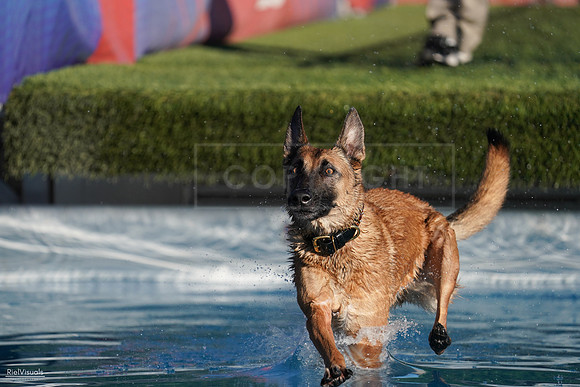 RielVisuals_NADD_Copper_Classic_20240127_160312_SJR06753