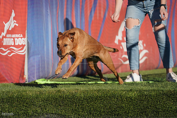 RielVisuals_NADD_Copper_Classic_20240127_161213_SJR07092