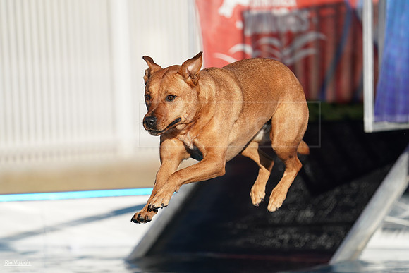 RielVisuals_NADD_Copper_Classic_20240127_161214_SJR07107