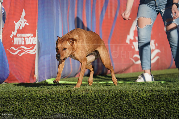 RielVisuals_NADD_Copper_Classic_20240127_161213_SJR07093