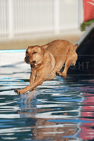 RielVisuals_NADD_Copper_Classic_20240127_161322_SJR07179