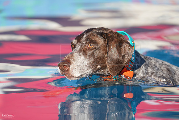 RielVisuals_NADD_Copper_Classic_20240127_162019_SJR07454