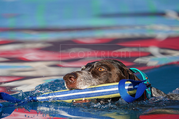 RielVisuals_NADD_Copper_Classic_20240127_162020_SJR07458