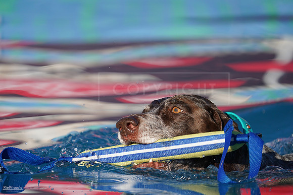 RielVisuals_NADD_Copper_Classic_20240127_162020_SJR07459