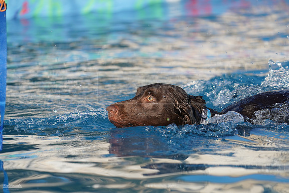 RielVisuals_NADD_Copper_Classic_20240127_163116_SJR07930