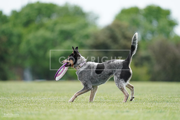 RielVisuals_20240525_125152_SJR01408