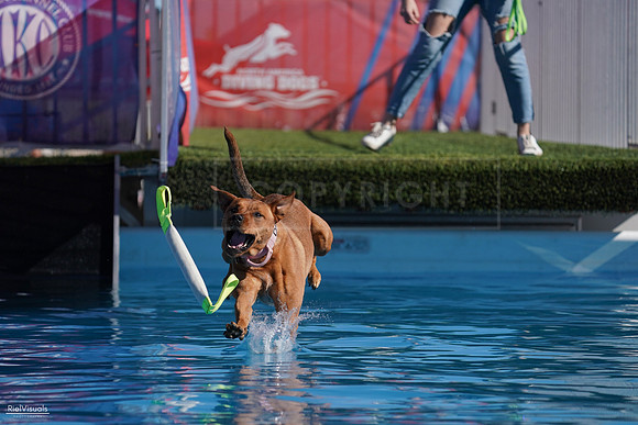 RielVisuals_NADD_Copper_Classic_20240127_140201_SJR02220