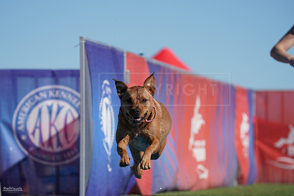 RielVisuals_NADD_Copper_Classic_20240127_140248_SJR02247