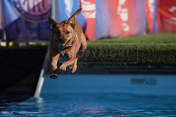 RielVisuals_NADD_Copper_Classic_20240127_140248_SJR02250