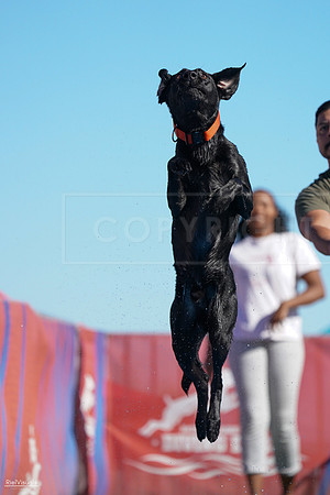 RielVisuals_NADD_Copper_Classic_20240127_140432_SJR02299