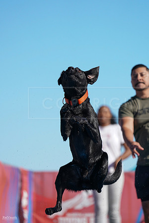 RielVisuals_NADD_Copper_Classic_20240127_140432_SJR02303