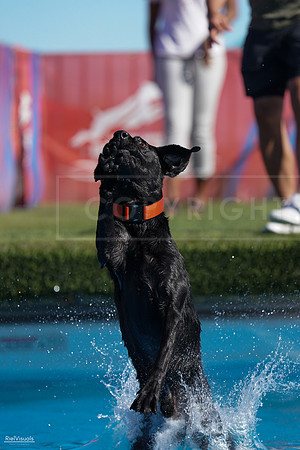 RielVisuals_NADD_Copper_Classic_20240127_140432_SJR02309