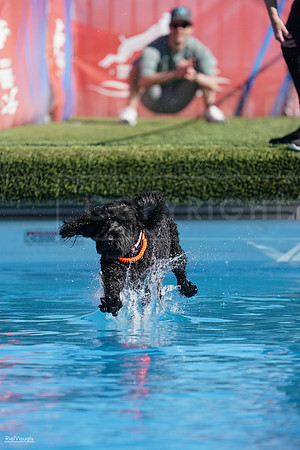 RielVisuals_NADD_Copper_Classic_20240127_141047_SJR02421