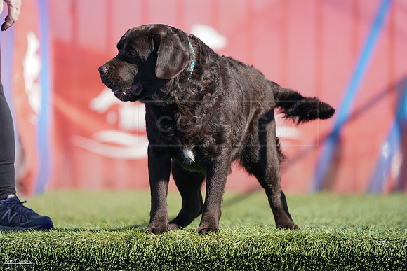 RielVisuals_NADD_Copper_Classic_20240127_141623_SJR02608