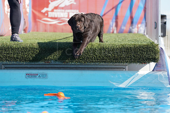 RielVisuals_NADD_Copper_Classic_20240127_141614_SJR02569