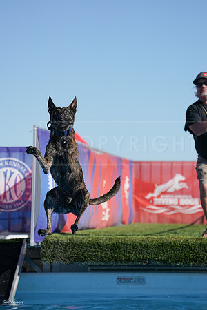 RielVisuals_NADD_Copper_Classic_20240127_142430_SJR02859