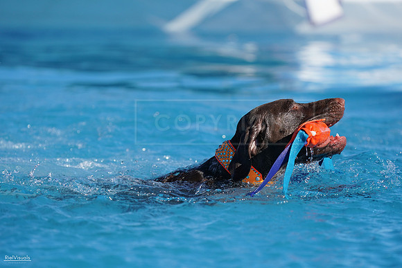RielVisuals_NADD_Copper_Classic_20240127_142618_SJR02910