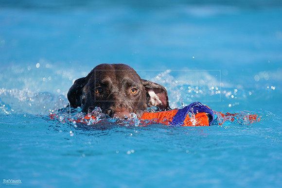RielVisuals_NADD_Copper_Classic_20240127_142654_SJR02925
