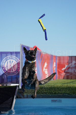 RielVisuals_NADD_Copper_Classic_20240127_142904_SJR02982