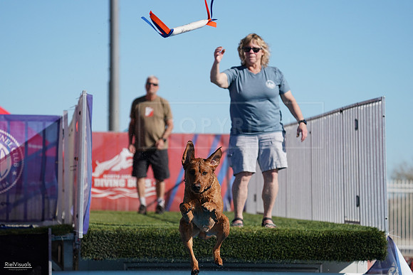 RielVisuals_NADD_Copper_Classic_20240127_143522_SJR03177