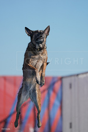 RielVisuals_NADD_Copper_Classic_20240127_143852_SJR03289