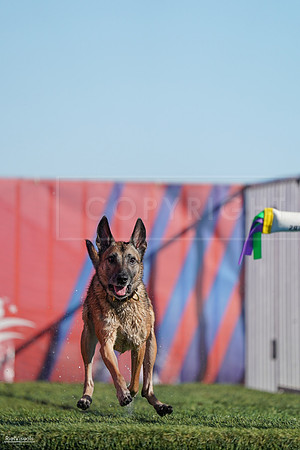 RielVisuals_NADD_Copper_Classic_20240127_143852_SJR03281