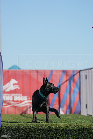 RielVisuals_NADD_Copper_Classic_20240127_144124_SJR03375
