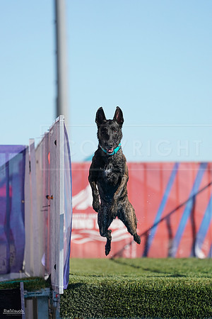 RielVisuals_NADD_Copper_Classic_20240127_144141_SJR03394