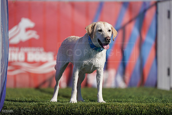 RielVisuals_NADD_Copper_Classic_20240127_150150_SJR04207