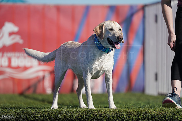 RielVisuals_NADD_Copper_Classic_20240127_150154_SJR04214