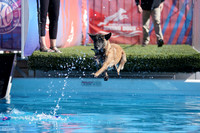 RielVisuals_NADD_Copper_Classic_20240127_130831_SJR00476