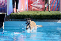 RielVisuals_NADD_Copper_Classic_20240127_130831_SJR00478