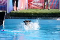 RielVisuals_NADD_Copper_Classic_20240127_130831_SJR00479