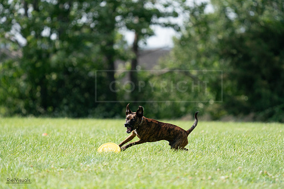 RielVisuals_20240728_151727_SJR00503