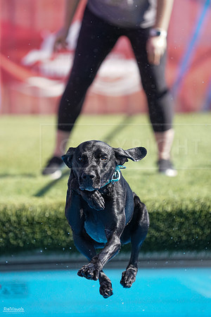 RielVisuals_NADD_Copper_Classic_20240127_130311_SJR00366