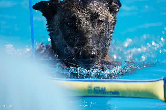 RielVisuals_NADD_Copper_Classic_20240127_130516_SJR00457
