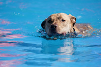RielVisuals_NADD_Copper_Classic_20240127_121122_SJR08371
