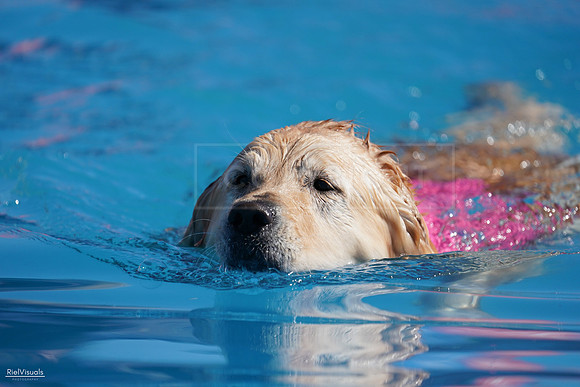 RielVisuals_NADD_Copper_Classic_20240127_121649_SJR08514