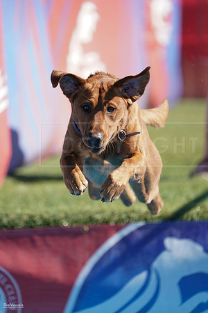 RielVisuals_NADD_Copper_Classic_20240127_122019_SJR08686