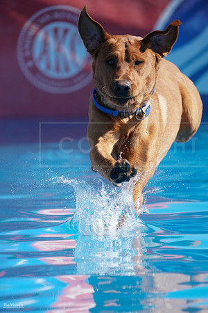RielVisuals_NADD_Copper_Classic_20240127_122019_SJR08689