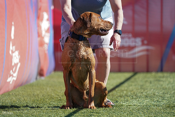 RielVisuals_NADD_Copper_Classic_20240127_122116_SJR08740