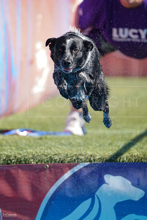 RielVisuals_NADD_Copper_Classic_20240127_122813_SJR09037
