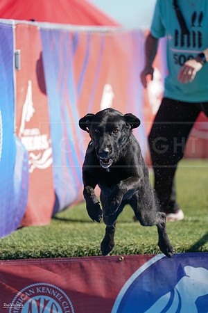 RielVisuals_NADD_Copper_Classic_20240127_122942_SJR09069