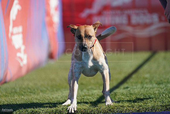 RielVisuals_NADD_Copper_Classic_20240127_124246_SJR09627