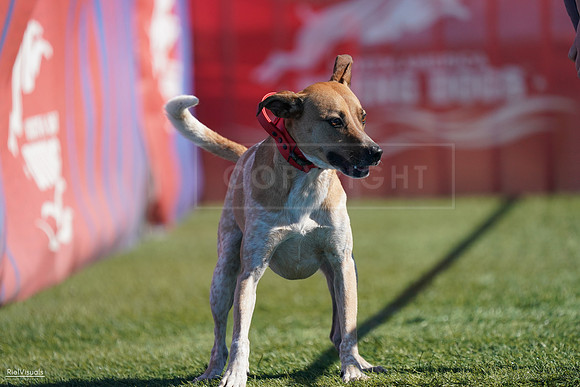 RielVisuals_NADD_Copper_Classic_20240127_124247_SJR09634