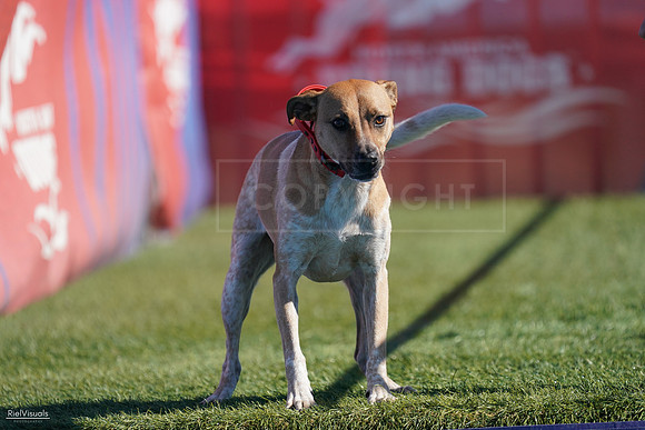 RielVisuals_NADD_Copper_Classic_20240127_124247_SJR09638