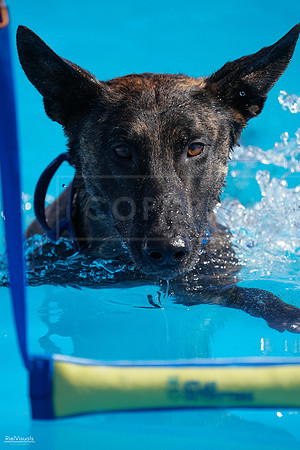 RielVisuals_NADD_Copper_Classic_20240127_124934_SJR09921