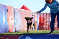 RielVisuals_NADD_Copper_Classic_20240127_110112_SJR06787