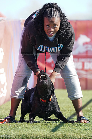 RielVisuals_NADD_Copper_Classic_20240127_125429_SJR00088