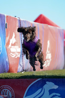 RielVisuals_NADD_Copper_Classic_20240127_110156_SJR06821